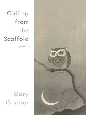 cover image of Calling from the Scaffold